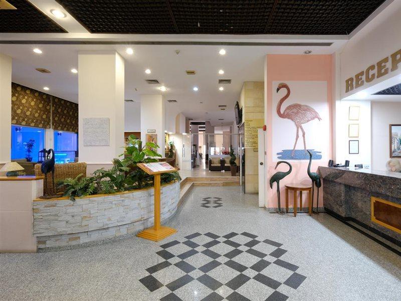 Flamingo Beach Hotel Larnaca Exterior foto